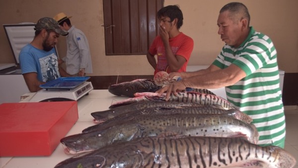 Productores chaqueños expondrán sus productos en la Feria Pantanal