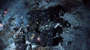 Incendio se llevó a toda una familia en Tava'i