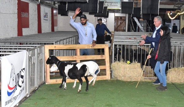 La Expo Nacional Santa Inés tendrá más de 210 animales en pista