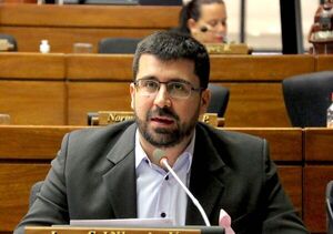 Candidaturas por fuera de la concertación le harán el juego a la ANR, sostiene Villarejo - ADN Digital