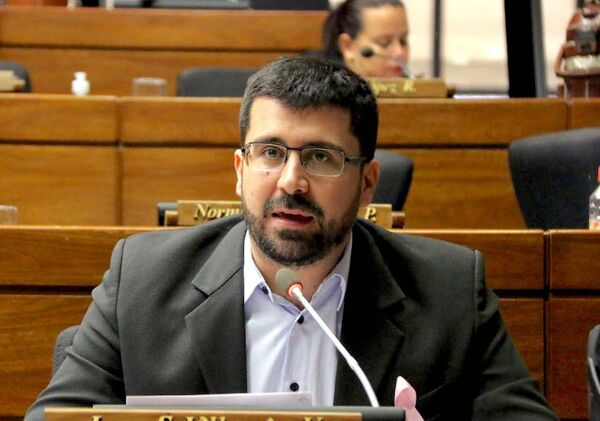 Candidaturas por fuera de la concertación le harán el juego a la ANR, sostiene Villarejo - ADN Digital