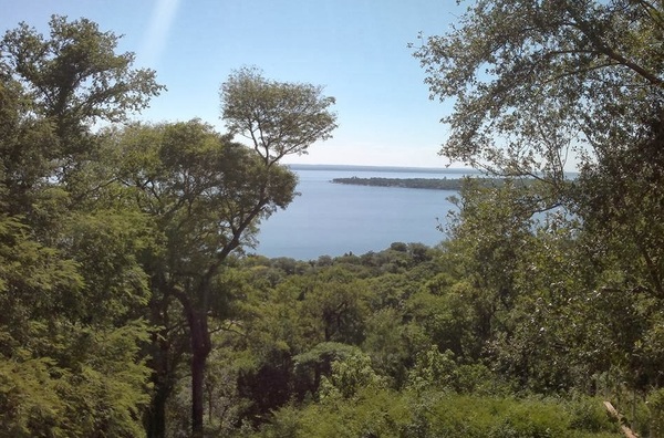 Ambientalista denuncia que emprendimiento privado socava área protegida de lago Ypacaraí