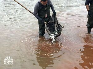 Comuna de CDE coopera con Itaipu en la siembra de alevines - La Clave