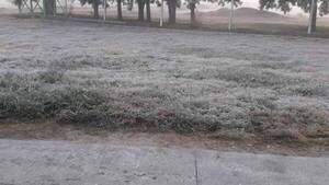 Crónica / Esta noche va a "pelar" y hasta podría caer nieve en julio ndajeko