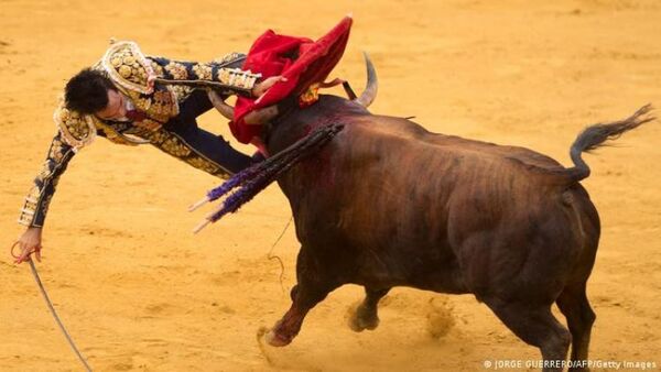 Juez suspende corridas de toros en la mayor plaza de México