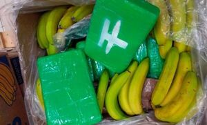 Hallaron 840 kilos de cocaína escondidos entre bananas en dos supermercados checos