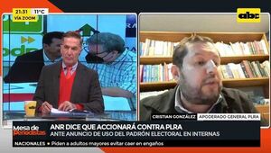Apoderado del PLRA fustiga contra el TSJE por uso del padrón nacional  - Nacionales - ABC Color