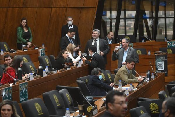 Diputados oficialistas y liberales plantean extender a un año más el mandato de autoridades municipales - Política - ABC Color