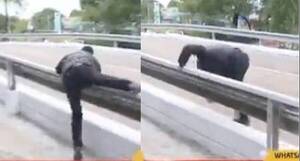 Crónica / Periodista mostró cómo uno subirá al micro en el puente Yberá