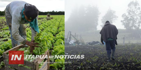 PRODUCTORES SE PREPARAN PARA LAS HELADAS DE INVIERNO