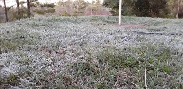 Crónica / En Pirapó “peló”: tuvo el amanecer más frío con 0,7ºC