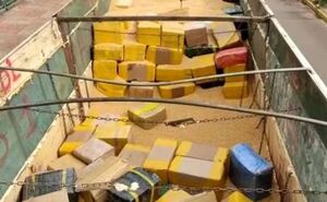 Federales incautan más de 16 toneladas de marihuana en la frontera Pedro Juan - Ponta Porã