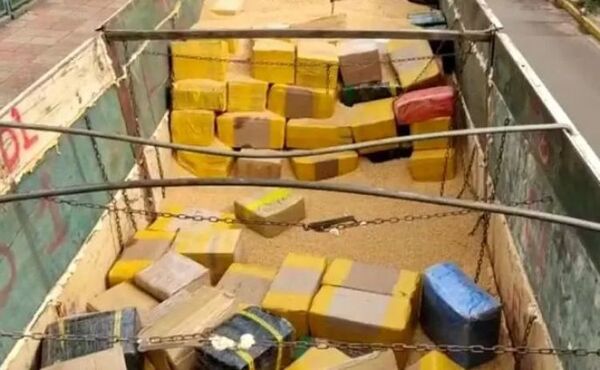 Federales incautan más de 16 toneladas de marihuana en la frontera Pedro Juan - Ponta Porã