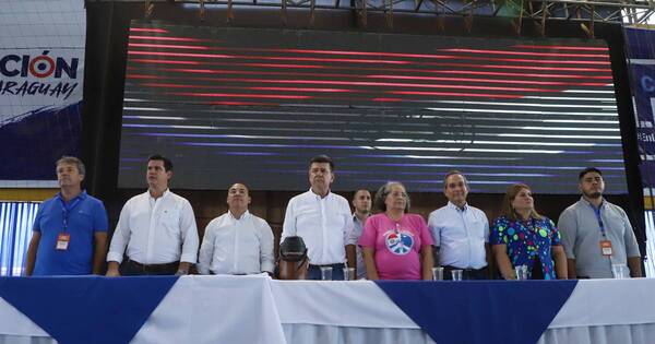 La Nación / Padrón nacional es para embaucar a aliados, afirman