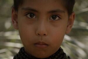 El monte le contó una historia y ella supo escuchar - ABC Revista - ABC Color
