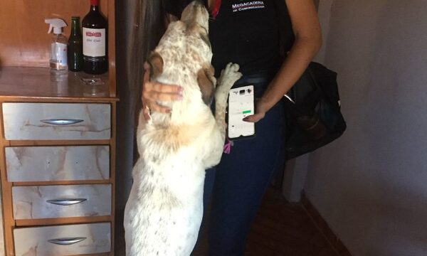 Tarado mata a balazos a perra de su vecina porque le comió sus gallinas ndaje