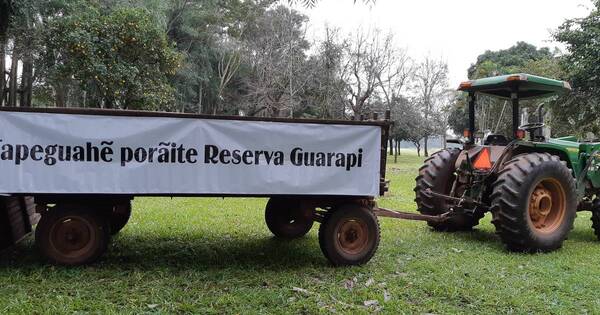 La Nación / La Reserva Guarapi trabaja en la conservación y restauración de los paisajes forestales