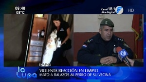 Mujer denuncia a vecino por matar a su perra en Limpio