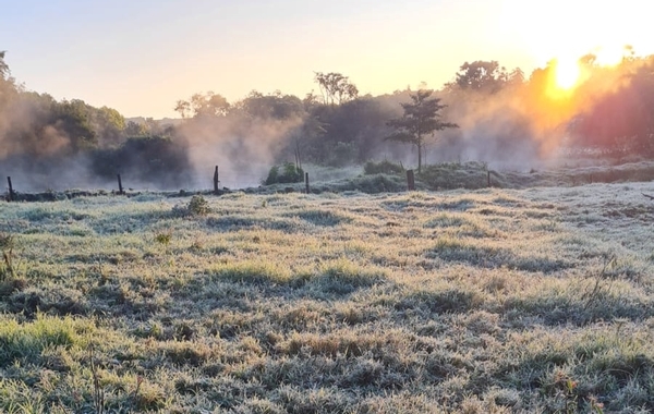 Itapúa y Ñeembucú fueron azotadas por heladas este domingo - Megacadena — Últimas Noticias de Paraguay