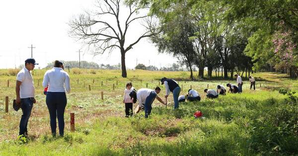 La Nación / La Reserva Guarapi trabaja en conservar y restaurar bosques