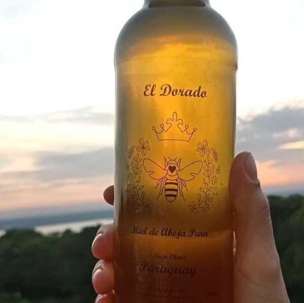 Desde Monte Lindo Bajo Chaco: El Dorado comercializa miel de abeja cruda directo del karanday