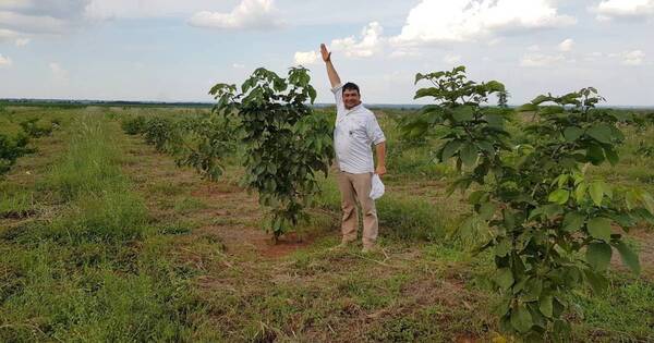 La Nación / WWF-Paraguay insta a trabajaren recuperar la biodiversidad