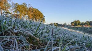 Meteorología registra temperaturas bajo cero en Itapúa y el Chaco