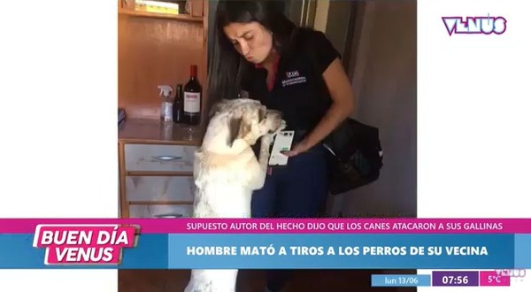 Hombre asesinó a balazos al perro de su vecina