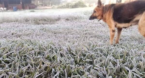 Crónica / Amaneceres "helados" continuarán hasta el miércoles