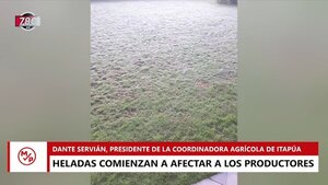 Cultivos de maíz, fuertemente afectados por heladas en Itapúa - Megacadena — Últimas Noticias de Paraguay