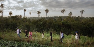La “Proeza” de luchar contra la pobreza desde el trabajo agroforestal | 1000 Noticias