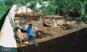 Solitario ladrón perpetra hurto domiciliario en Minga Guazú - ABC en el Este - ABC Color