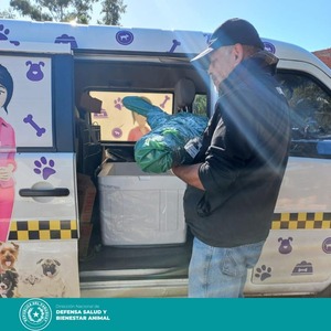 Diario HOY | Defensa Animal y Fiscalía intervienen tras cruel asesinato de un perro