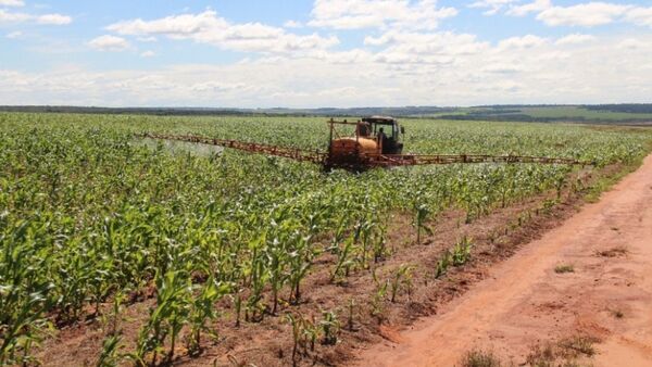 Actividad económica se contrajo 6,2% en abril | Análisis Macro | 5Días