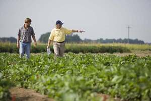 Precios al productor hilaron cuatro meses de avances | Internacionales | 5Días