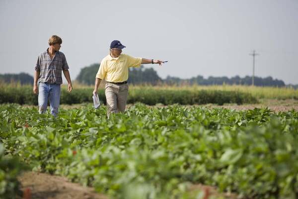 Precios al productor hilaron cuatro meses de avances | Internacionales | 5Días