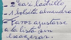 Pidió "ka'i ladrillo" como regalo por Día del Padre y se hace viral