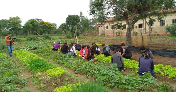 La Nación / Yaguarón: enseñan a estudiantes el valor de ser sustentables mediante proyecto Topa Ñembyahyi
