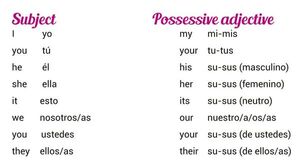Possessive adjectives (1) - Escolar - ABC Color