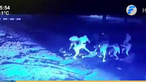Hombre intenta detener pelea y una turba lo ataca violentamente  