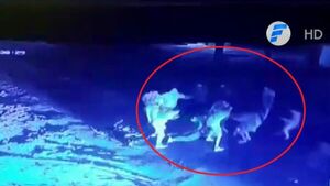 Quiso parar una pelea con disparos al aire, pero le pegaron