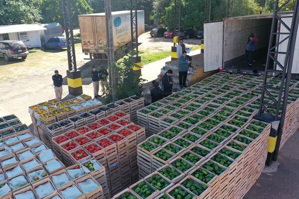 Operativo anticontrabando confiscó más de nueve toneladas de locote verde en Itá Enramada - .::Agencia IP::.