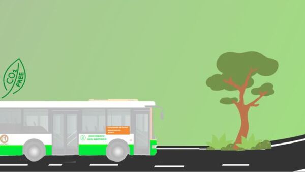 Empresa de transporte organiza “Campaña paseo hacia la electromovilidad” | Empresas | 5Días