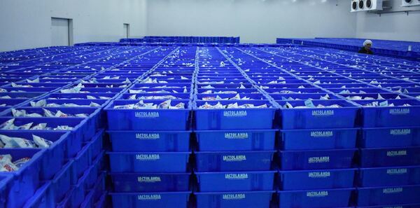 Calidad de exportación al alcance de todos | Empresas | 5Días