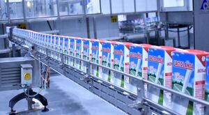 Perseverancia y calidad, pilares que consolidan a Lactolanda hace 40 años | Empresas | 5Días