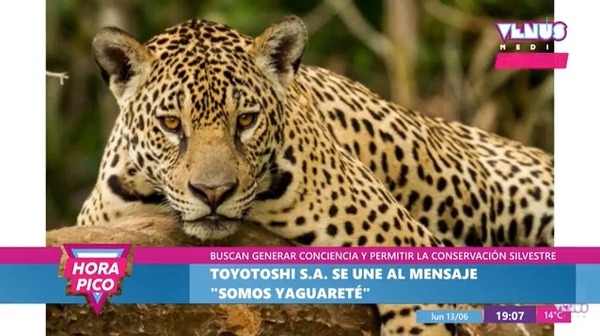 TOYOTOSHI S.A. se une al mensaje de “Somos Yaguareté”