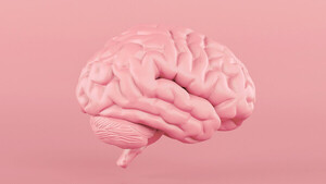 Diario HOY | Descubren que el cerebro humano sano alcanza temperaturas más altas de lo que se sospechaba