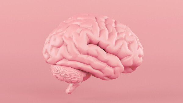 Diario HOY | Descubren que el cerebro humano sano alcanza temperaturas más altas de lo que se sospechaba