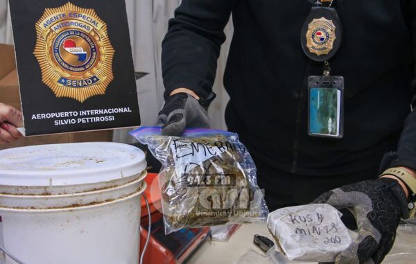 Paquetes procedentes de California con variedades de marihuana tenía destino Pedro Juan