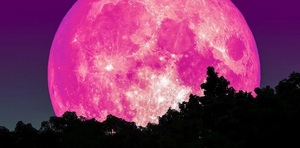 SUPERLUNA DE FRESA SE PODRÁ OBSERVAR A SIMPLE VISTA - La Voz del Norte
